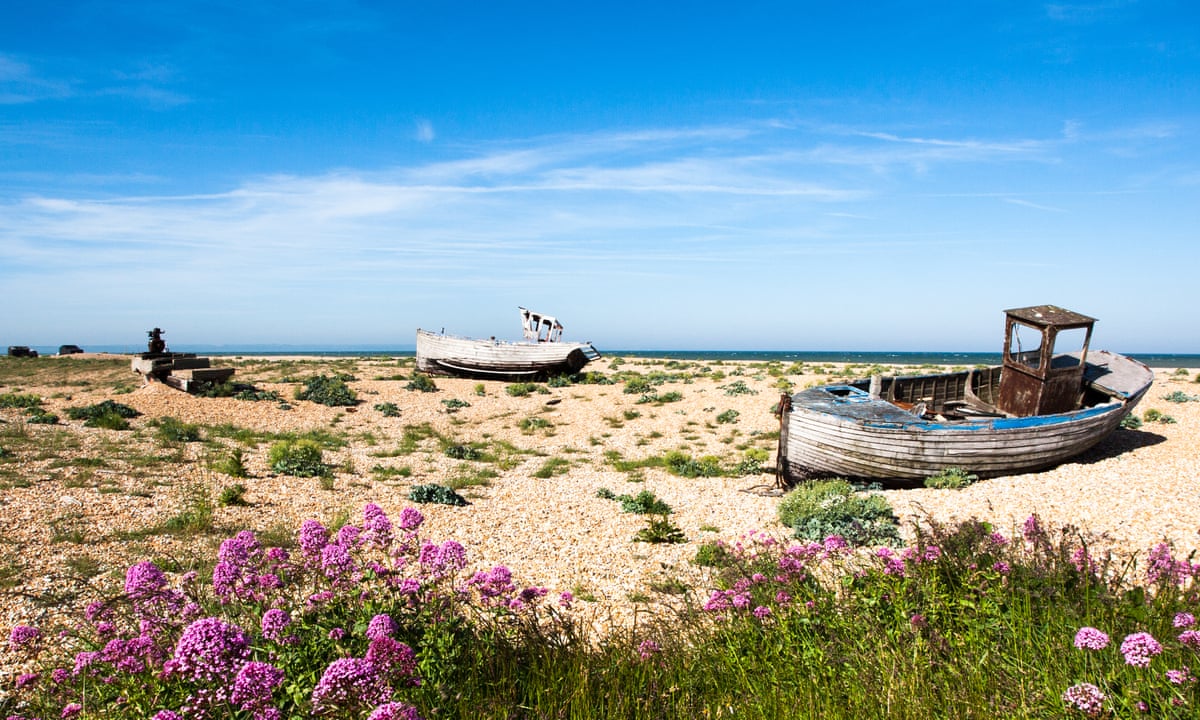 Dungeness coast